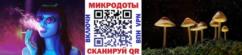 дарнет шоп  Арсеньев  Псилоцибиновые грибы прущие грибы 